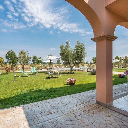 فيلا Agriturismo Pian Di Spille - Golf تاركوينيا المظهر الخارجي الصورة